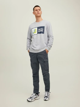 Штани JACK&JONES сірий FGJGL877 28/30
