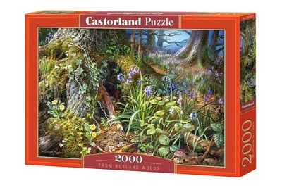 Пазл на 2000 элементов "Лесная лужайка" (C-200764) Castorland