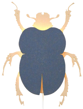 Lampa ścienna Van Tjalle en Jasper chrząszcz Drewniana 3570104 (8720254309385)