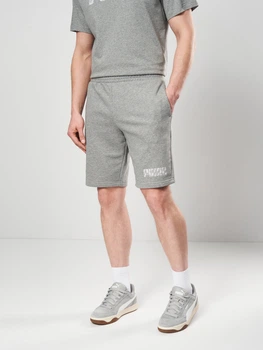 Шорты хлопковые короткие мужские Puma Essentials Graphics 69179003 M Medium Gray Heather (4069161973956)