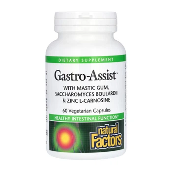 GastroAssist Natural Factors, Gastro-Assist™ с мастиковой смолой, сахаромицетами буларди и цинк-L-карнозином, 60 капсул