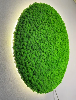 Панель з Моху та Підсвіткою - Кругла 50 см - Light Green