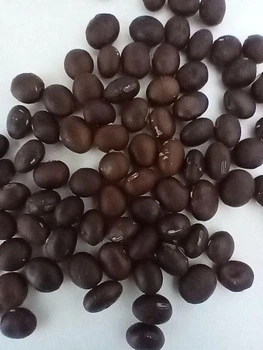 Насіння Соя Шоколадна (35 шт)
