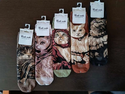 Шкарпетки жіночі з малюнками кошенят. У наборі з 5 шт. Coalo socks. Розмір 36-41