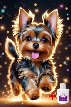 Алмазная мозаика на подрамнике ColorArt 30x40 Собачка Йорк + голограммные алмазики STP491 + Подарок лак для покрытия