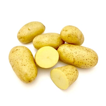 Насіннєва картопля Джолін 2,5 кг (перша репродукція) Проф.насіння