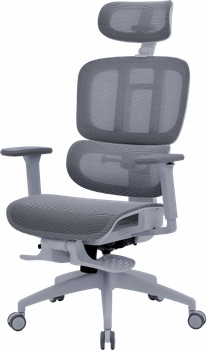 Крісло офісне OfficePro Skyline oc750-g-dg-dg