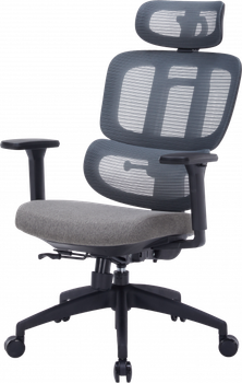Крісло офісне OfficePro Skyline oc580-b-dg-dg
