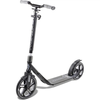 Міський двоколісний самокат Frenzy Recreational 250 mm Black (fz129)