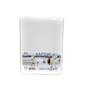 Картон білий А5 10 аркушів у пакеті КА5010Е