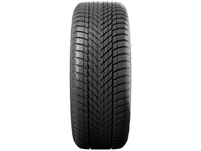 Зимова шина Dunlop Winter EV 195/65 R15 91H