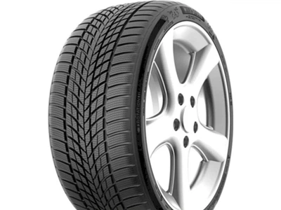 Зимова шина Funtoma Roadfun Winter 195/60 R15 88H
