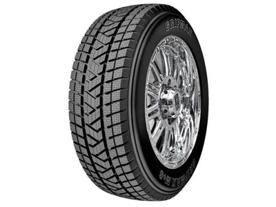 Зимова шина Gripmax Stature M/S 235/50 R19 99V