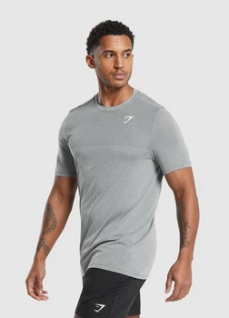Спортивна футболка Gymshark a6a4dc58 S сіра (100006123)