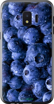 Чехол на Samsung Galaxy J2 Core Голубика "4459u-1565-70447"