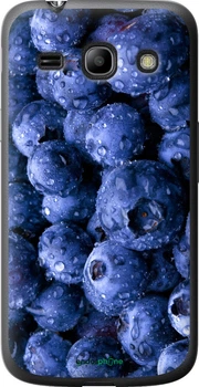 Чехол на Samsung Galaxy Core Plus G3500 Голубика "4459u-359-70447"
