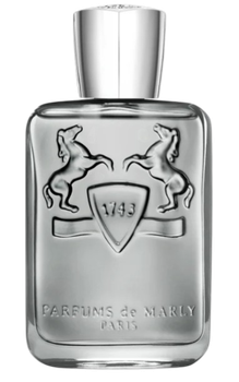 Woda perfumowana męska Parfums De Marly Castley 125 ml (3700578506757)