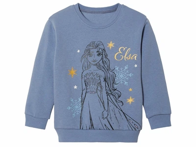 Свитшот с начесом для девочки Disney Frozen 457070 098-104 см (2-4 years) Синий