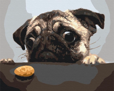 Картина за номерами Мопс 40x50 Brushme (BS8765)