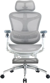 Офисное кресло Sihoo DORO C300 Pro Mesh White with footrest (DORO-C300-PRO-M102-JT)