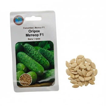 Огурец Метеор F1 Agro Paradise, 1г, устойчивый к болезням гибрид для теплиц и хрустящего консервирования