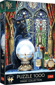 Puzzle Trefl Magic Collection: Uczeń czarownicy 1000 elementów 10898 (5900511108989)