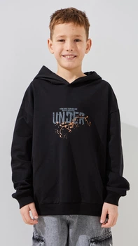 Худі з принтом для хлопчика Dinomin M-310 128 см Чорний shop (2000999486791)