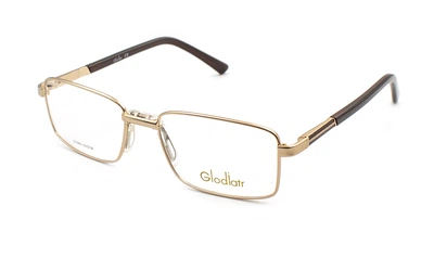 Оправа для очков металлическая Glodiatr 1843-C1