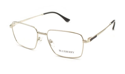 Оправа для очков металлическая Blueberry 40045-C9