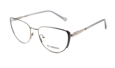 Оправа для очков металлическая Blueberry 39045A-C1