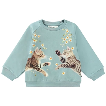 Свитшот Molo Disc Kitten Star Dusty, цвет бирюзовый, размер 80 (4W24J201.3755)