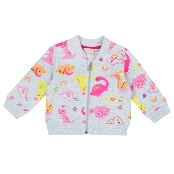 Толстовка Chicco Little dinosaur, цвет серый, размер 80 (090.05476.091)