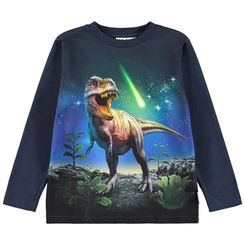 Реглан Molo Reif Meteor Dino, колір синій, розмір 116 (1W25A403.4967)