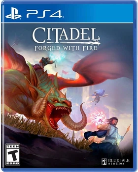 Игра CITADEL Forged With Fire PS4 CUSA09097