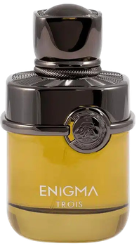 Woda perfumowana męska Fragrance World Enigma Trois 100 ml (6291108329306)