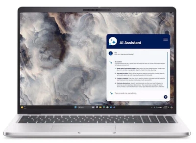 Ноутбук Dell 16 Plus DB16250 (210-BPKF_SPL25)