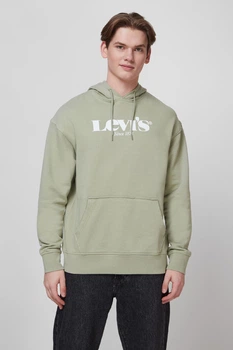 Худі Levi's Relaxed Graphic Hoodie Оливковий L 38821-0061