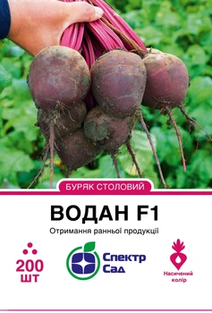 Голландские Семена Bejo Столовая свекла Водан F1, 200 шт