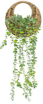 Sztuczny eukaliptus Atmosphera Zea w plecionej doniczce 70 cm (3560232864094)