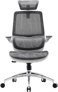 Кресло офисное SIHOO M59AS Mesh Gray (M59AS-M301)