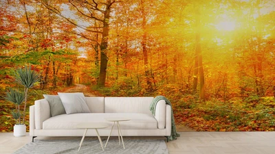Фотообои флизелиновые Print-walls Осенний лес 0294 300×200 см (Ш×В)
