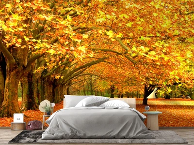 Фотообои флизелиновые Print-walls осеннее утро 0258 300×250 см (Ш×В)