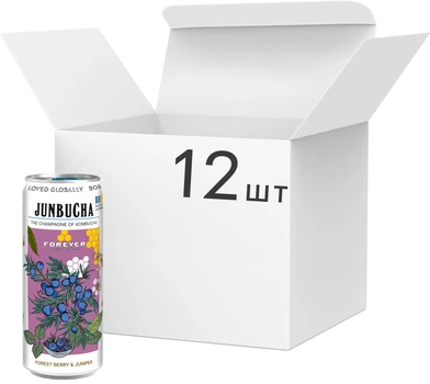 Упаковка напитка безалкогольного Ever Aid Janbucha Forest Berry & Jupiner 330 мл х 12 шт (14820183003338)