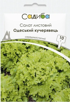 Семена Салат листовой Одесский кучерявец 10 г Садыба