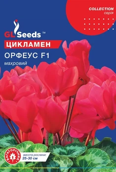 Насіння Цикламена F1 Орфеус (5шт), Collection, TM GL Seeds