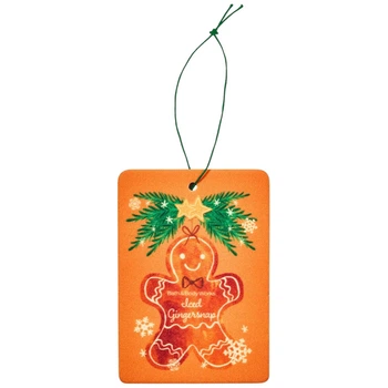 Ароматизатор подвесной для автомобиля Bath & Body Works Iced Gingersnap