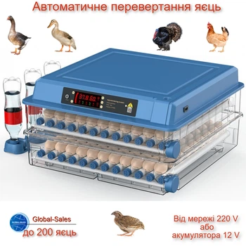Інкубатор автоматичний на 200 яєць Vertis (220/12В) з цифровим контроллером, автоматичним зволоженням