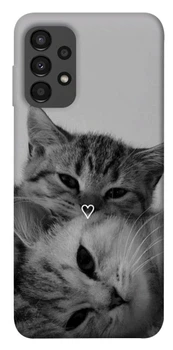 TPU чохол Demsky Grey cats для Samsung Galaxy A13 4G
