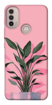 TPU чохол Demsky Pink plant для Motorola Moto E40