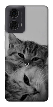 TPU чохол Demsky Grey cats для Motorola Moto G24